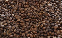 家中剛烘焙過的咖啡豆